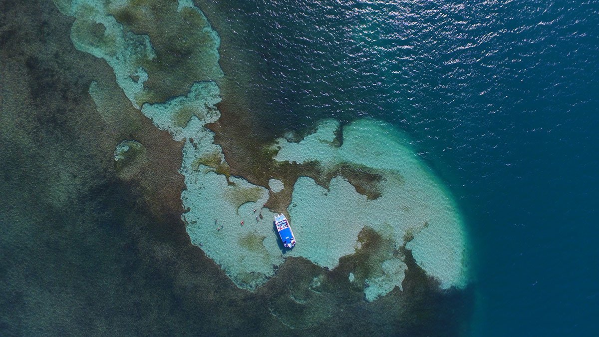 Snorkeling en Miches