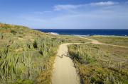 Scenic natural trail overlooking the sea at Playa Esmeralda, Miches.