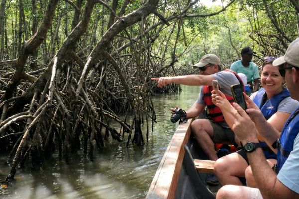 Turistas navegando en bote entre manglares en Los Haitises