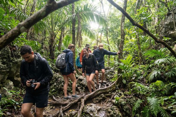 tourists-walking-on-a-narrow-trail-inside-los-haitises-429538C1A27CE-6DEB-5F51-BE48-2D7D5CEFCD19.jpg
