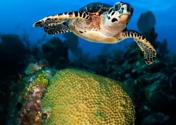 Conservar lo natural, disfrutar lo auténtico