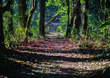 Cuidar lo que visitamos, respetar a quien nos recibe