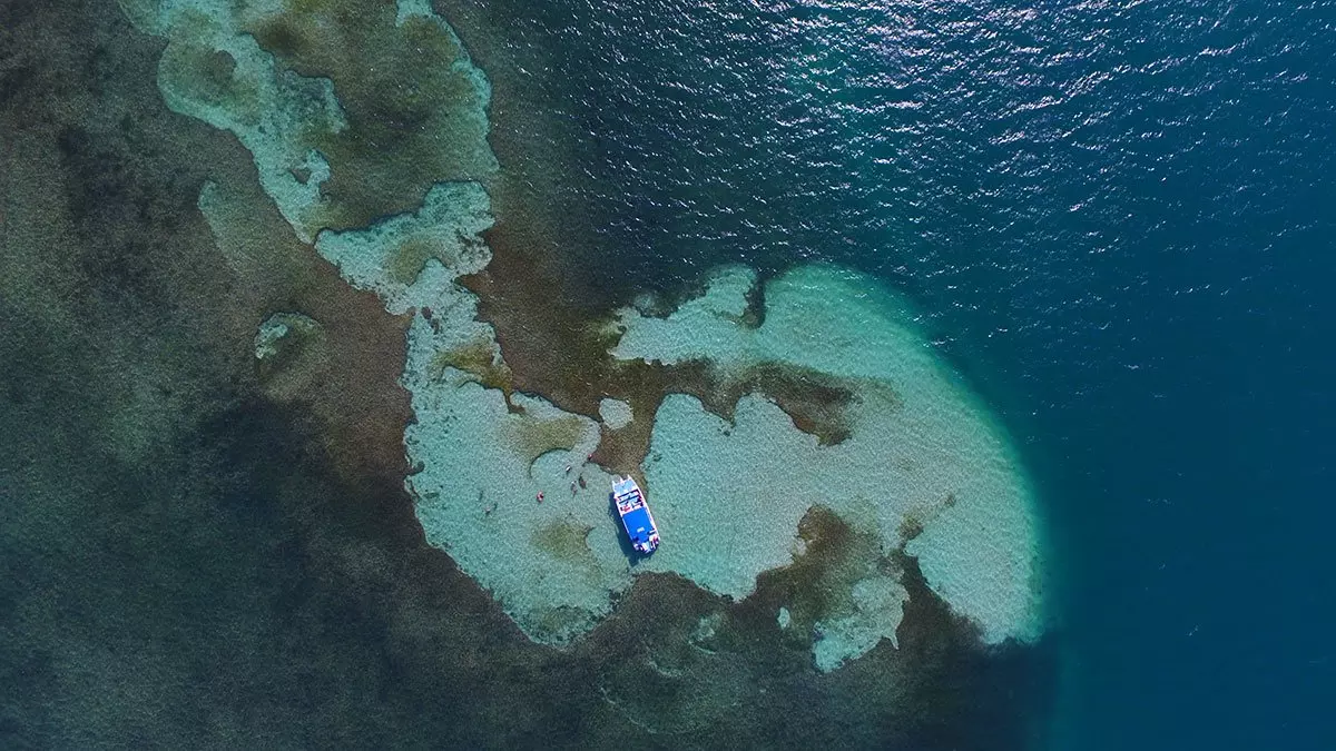 Snorkeling en Miches